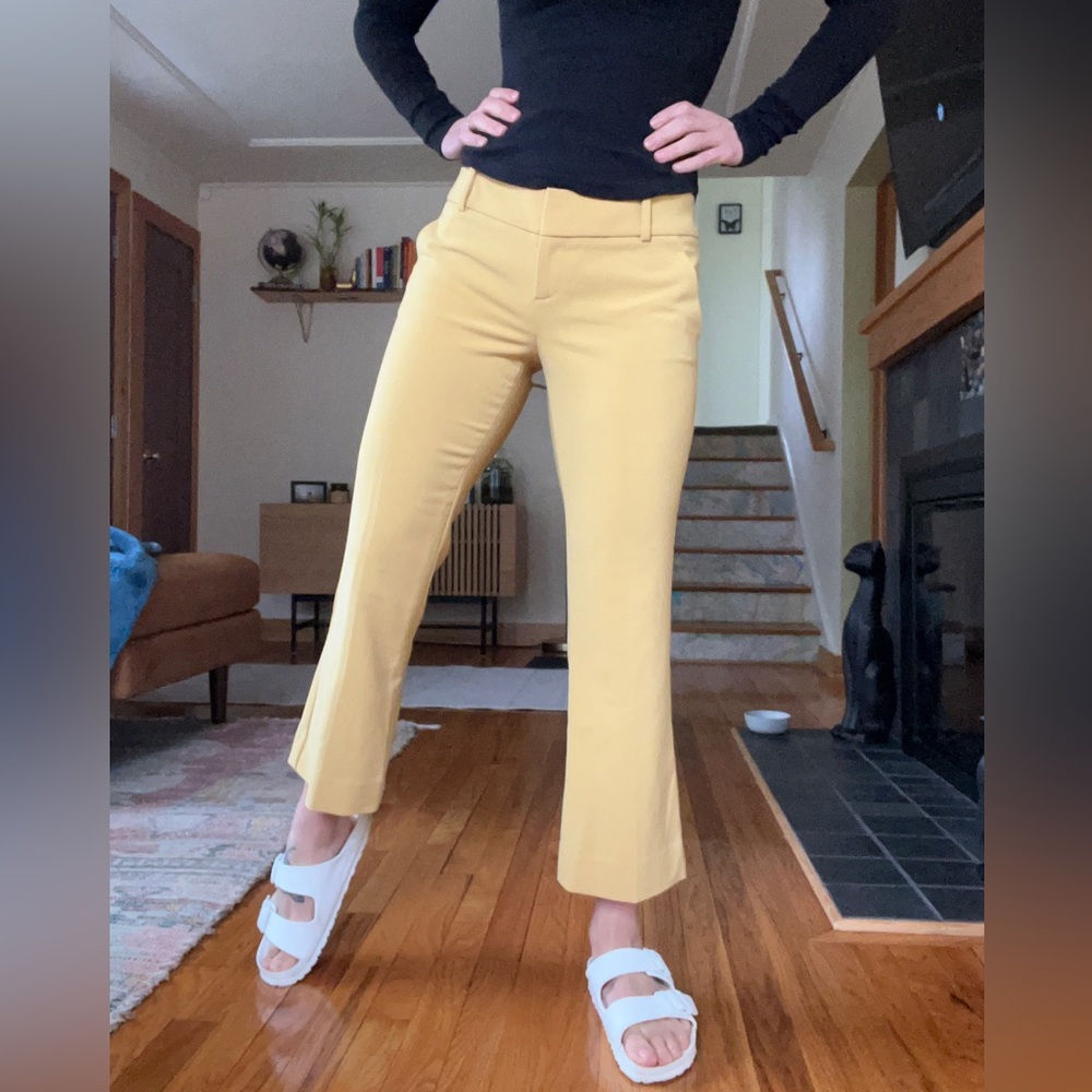 The Limited Cropped Flare Pants